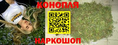гидропоника Канаш