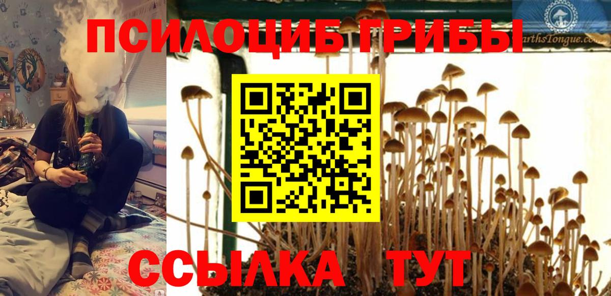 Галлюциногенные грибы мухоморы Кувандык
